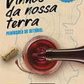pingo doce vinhos-01.jpg